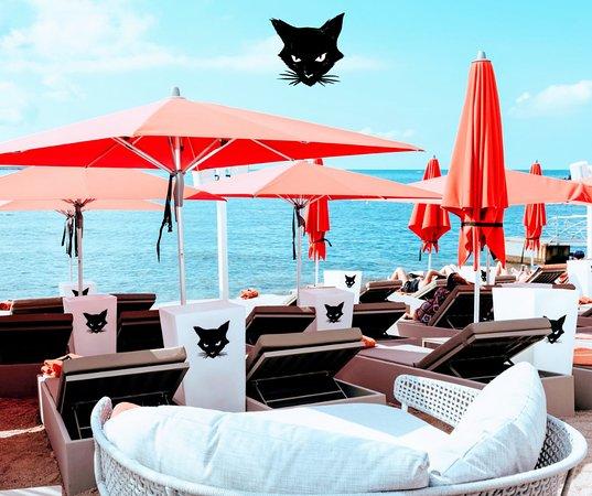 Nine Lives
