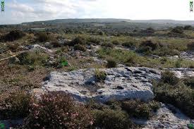 Wardija Ridge