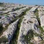 Cart Ruts