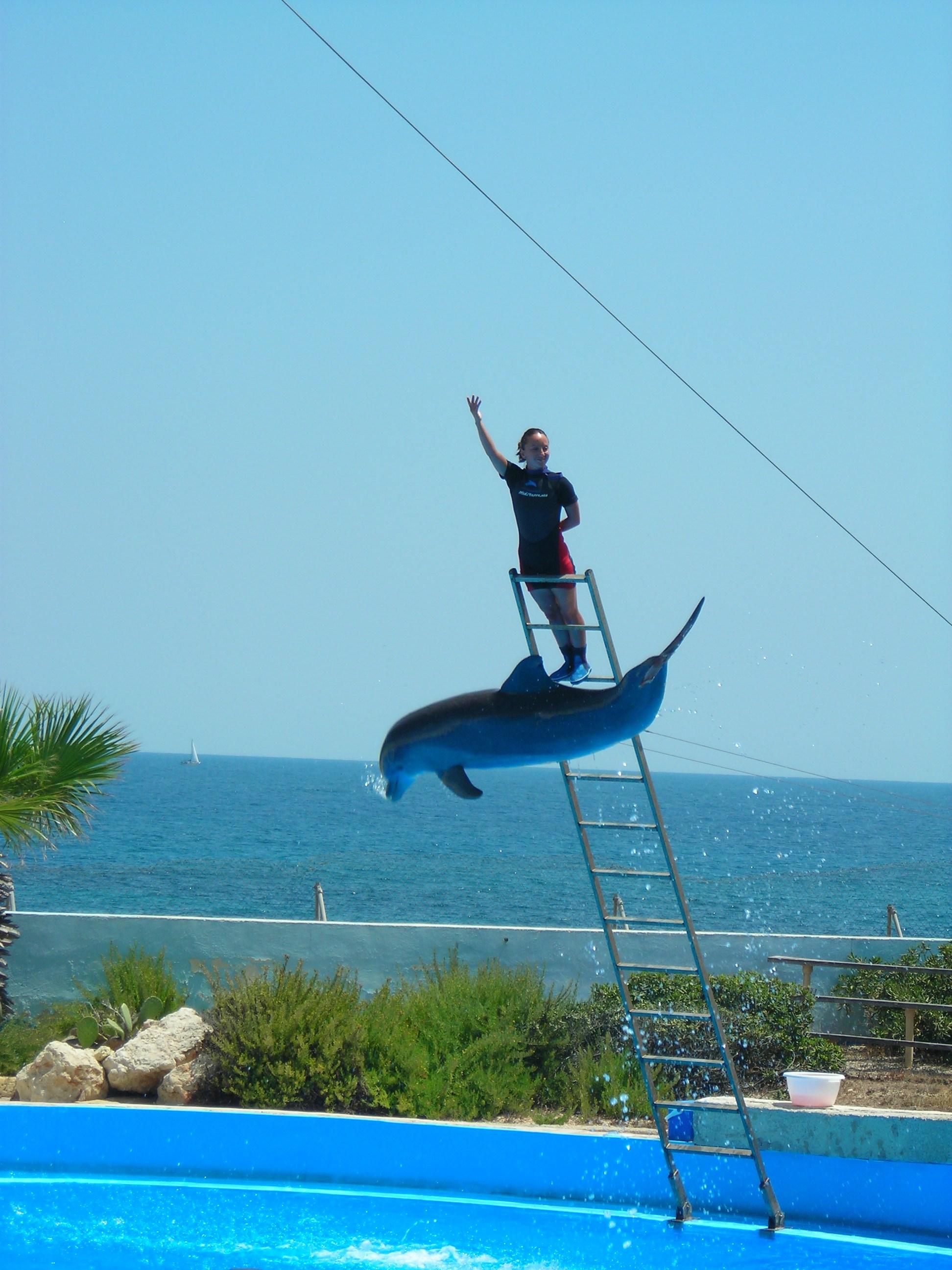 Mediterraneo Marine Park