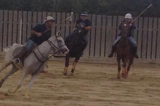 Malta Arena Polo