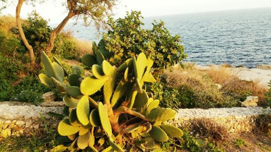 Adventures In Malta