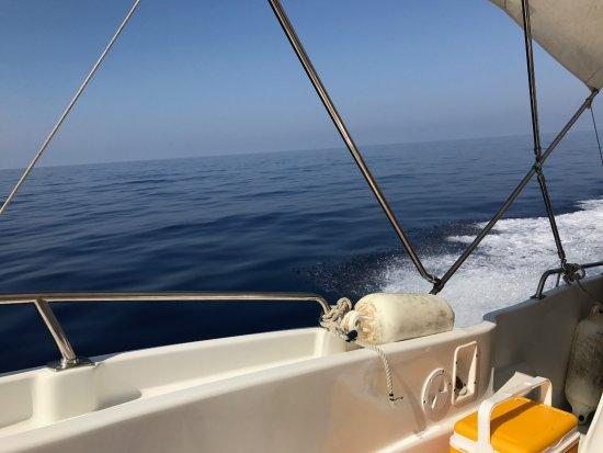 Xlendi Cruises