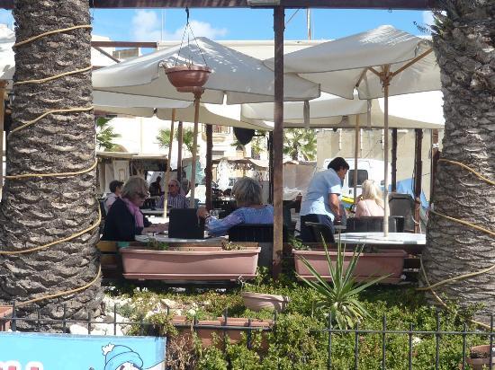 Harbour Lights Cafe